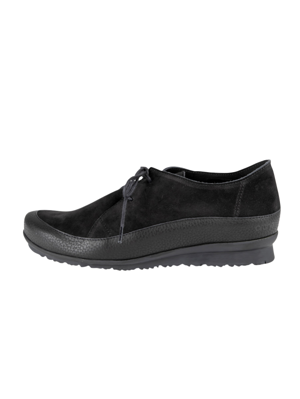 Baroha derbies - Image 2
